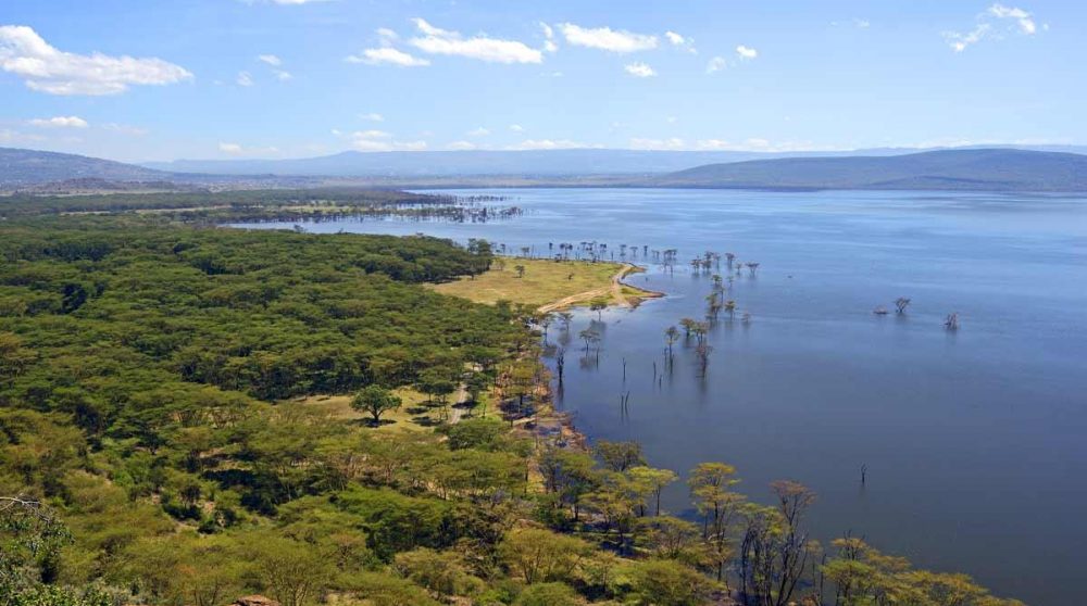 Image de AFRIQUE de SUD